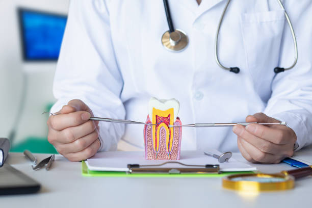 Best Broken or Cracked Tooth Emergency Dentist in Baldwin, LA